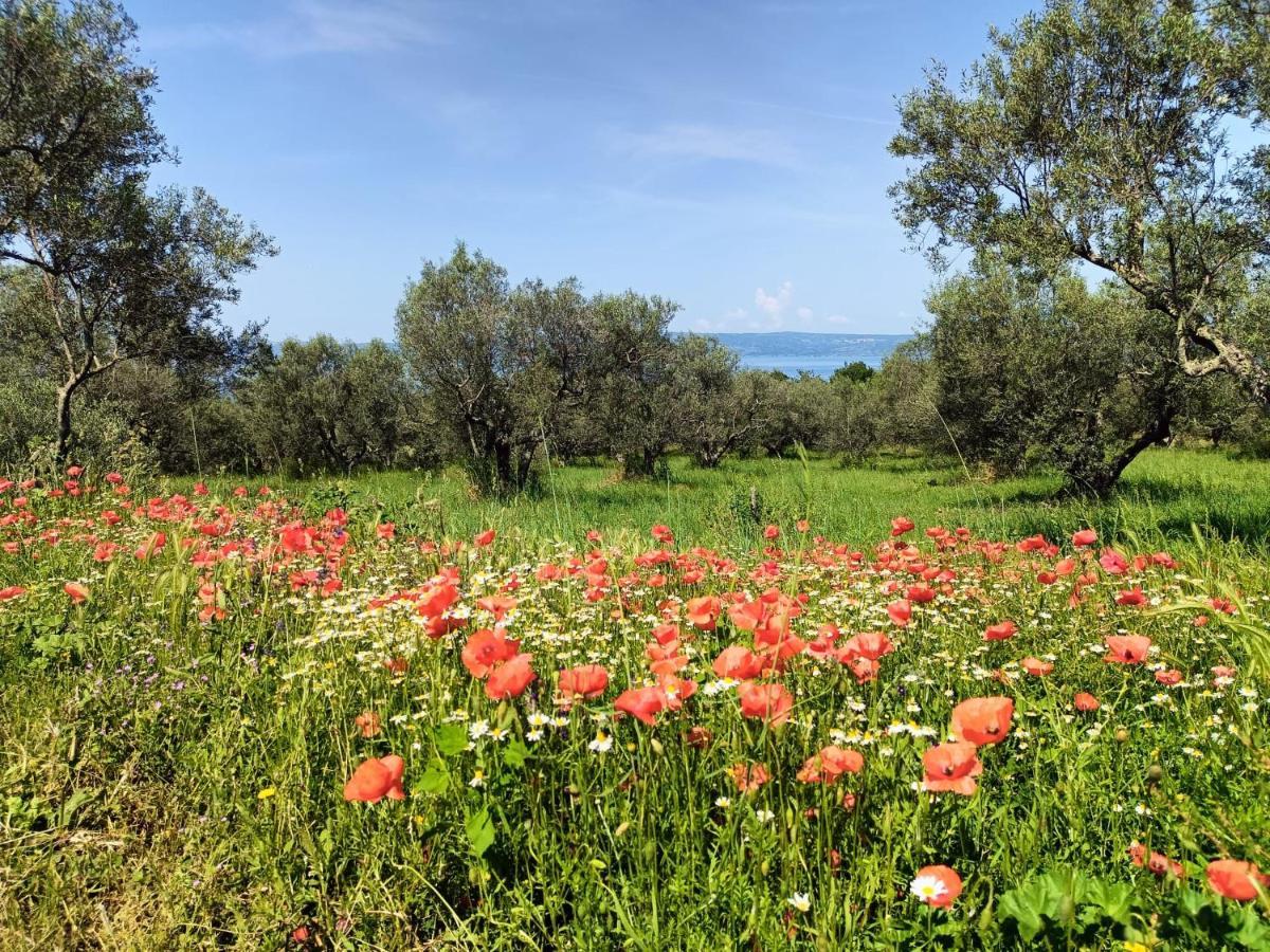 Meridiano 12 Μπολσένα Εξωτερικό φωτογραφία