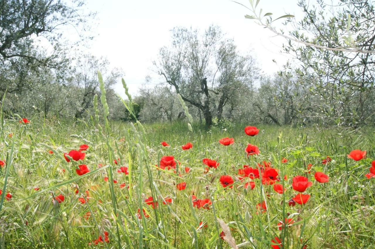 Meridiano 12 Μπολσένα Εξωτερικό φωτογραφία